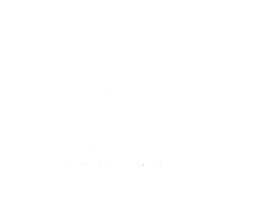 Terra Soli