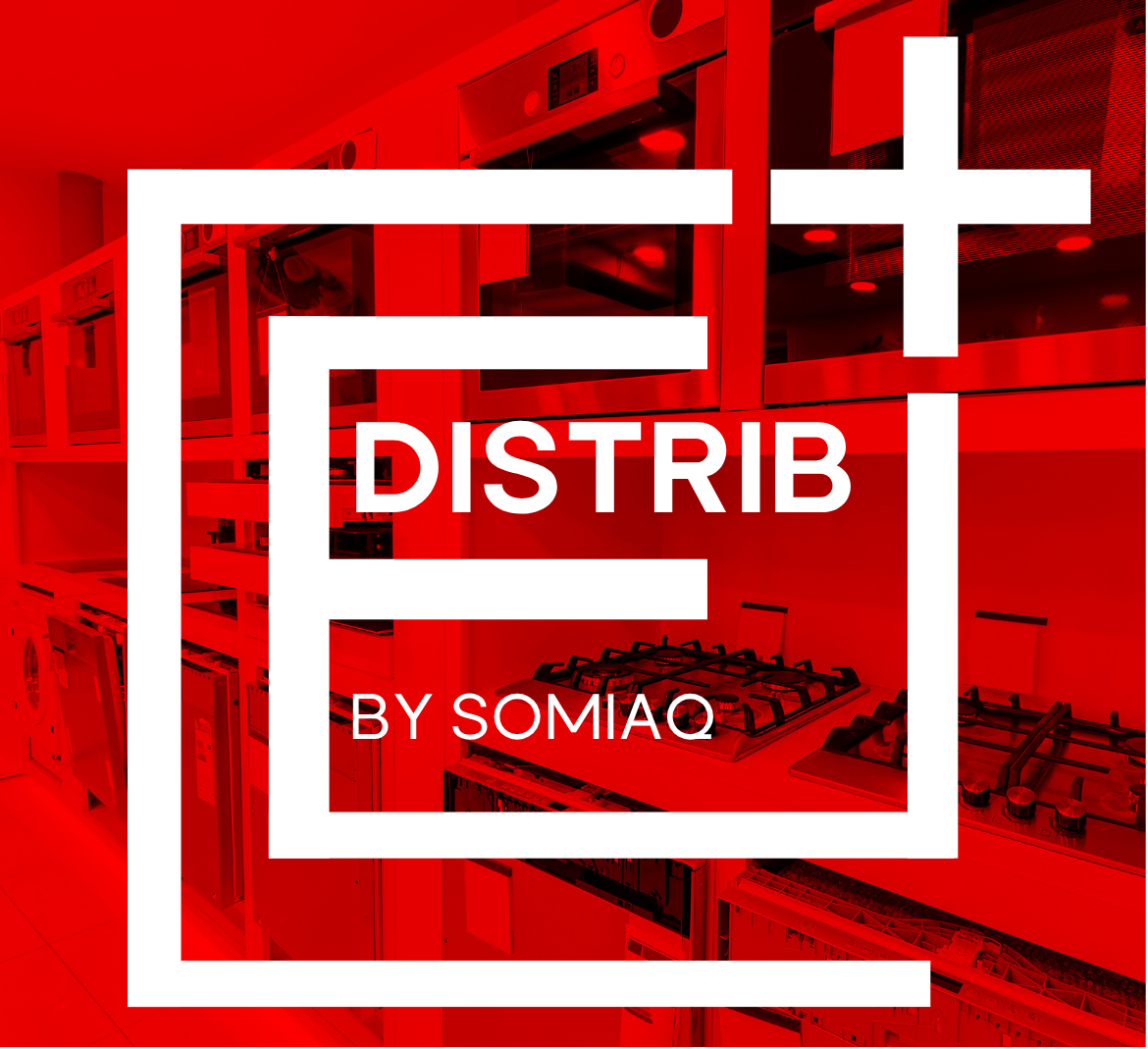 E DISTRIB by Somiaq Logo Post Mockup